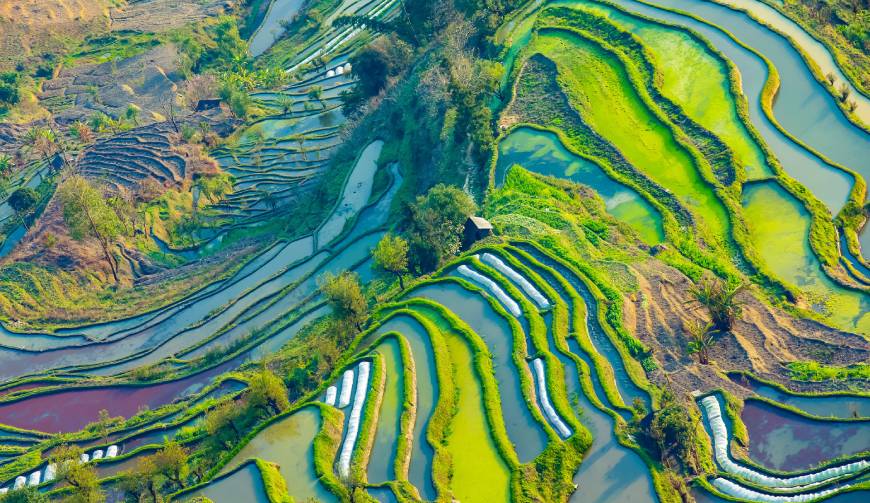 东坡区企业宣传片制作